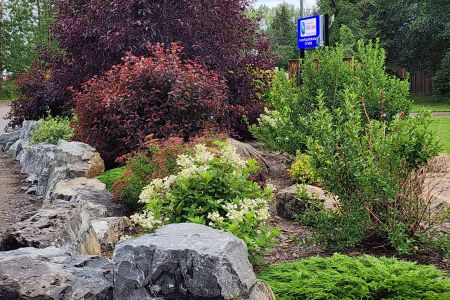 Landscaped spaces.jpg
